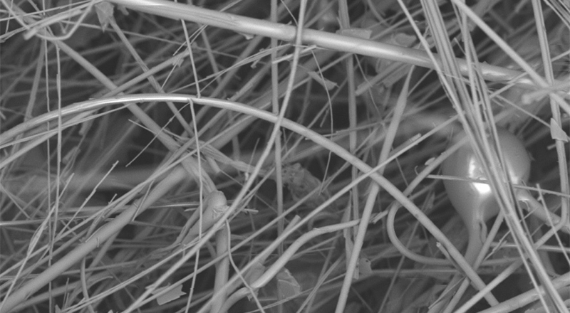 A scanning electron microscope (SEM) image of a bioactive glass fiber used for treating wounds