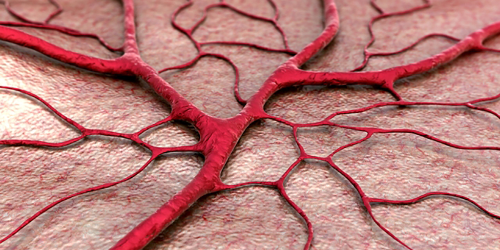 Encouraging Vascular Regeneration using Bioactive Glass Microfibers