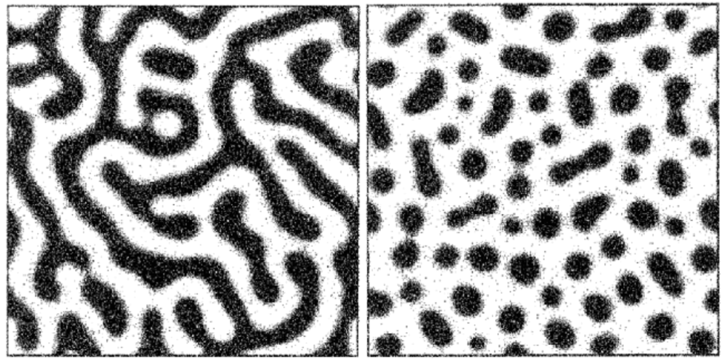 Example of spinodal decomposition next to nucleation