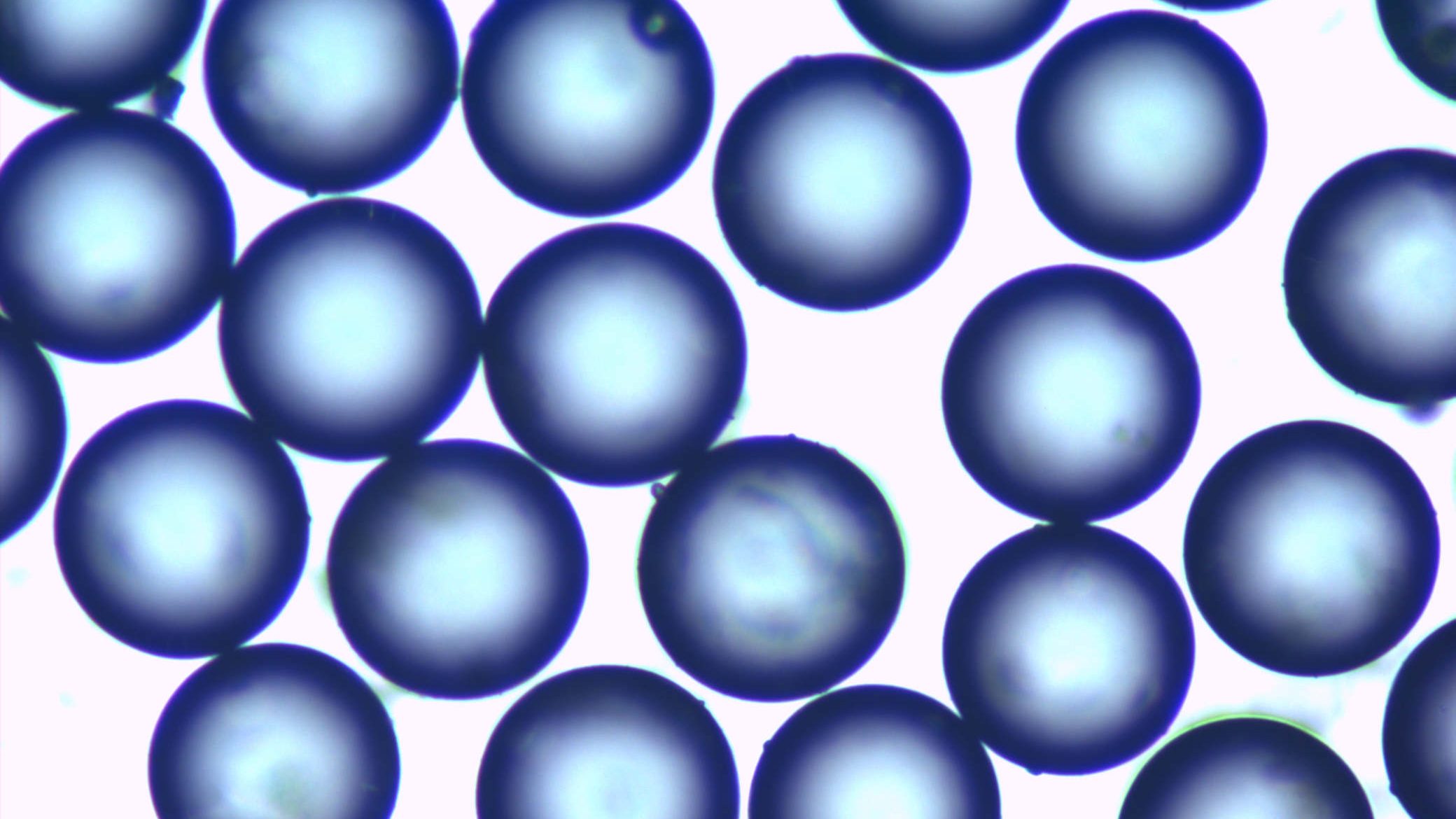 Magnified image of glass microspheres